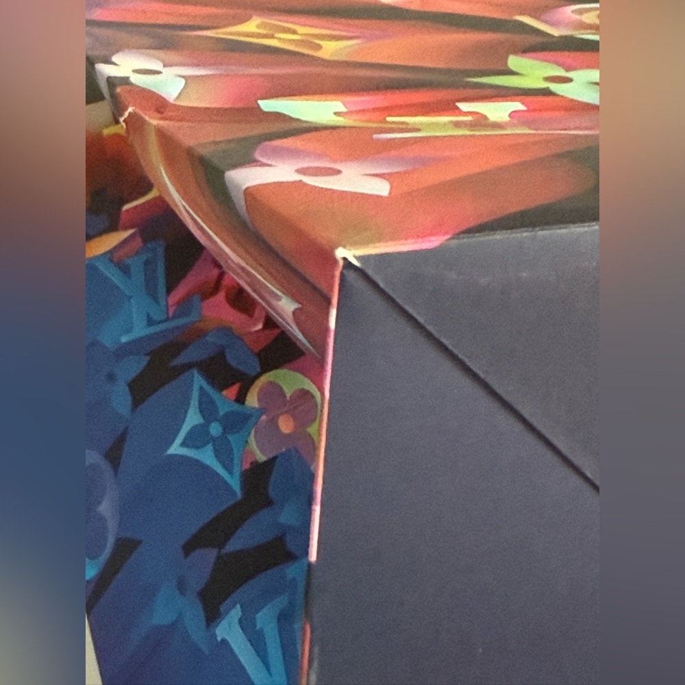 Louis Vuitton XL Multicolor Shopping Display Bag Limited Edition Boutique Decor - Picture 14 of 15